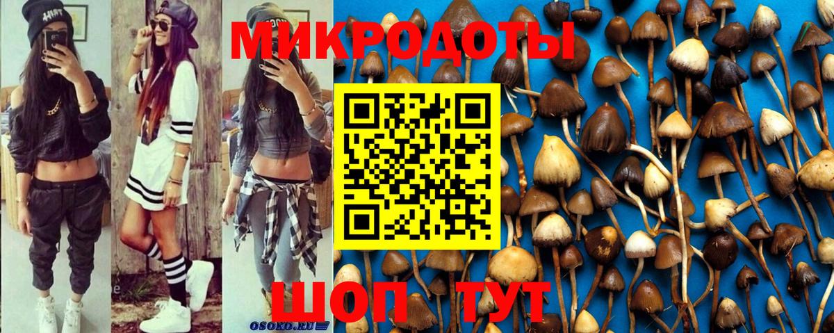 Псилоцибиновые грибы мухоморы Джанкой
