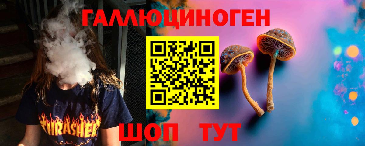 Псилоцибиновые грибы Cubensis  Вход с VPN  Джанкой  Псилоцибиновые грибы прущие грибы 
